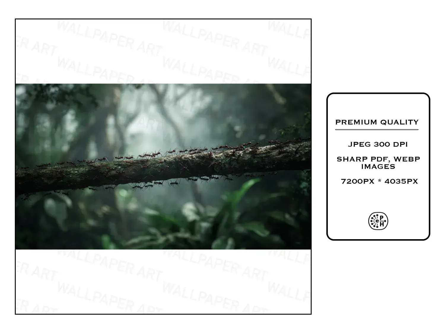 Transform your workspace with these 20 vibrant rainforest desktop wallpapers, immersing you in nature's beauty and tranquility.