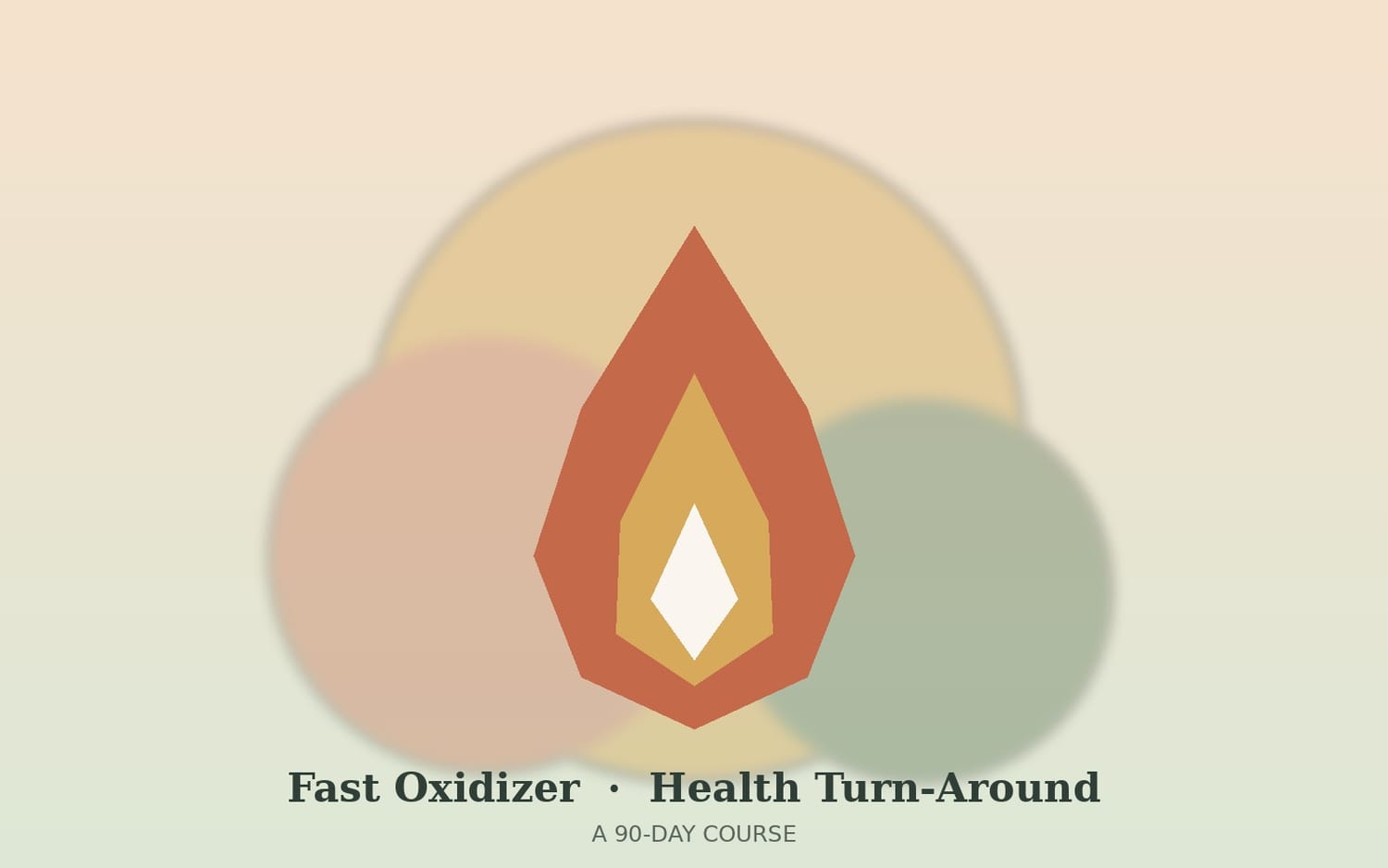 Fast oxidizer health turn-around course