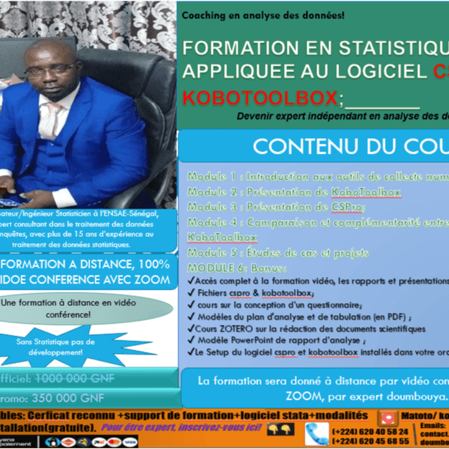FORMATION CERTIFIANTE EN VIDEO CONFERENCE AUX LOGICIELS CSPRO ET KOBOTOOLBOX (AVEC ZOOM)