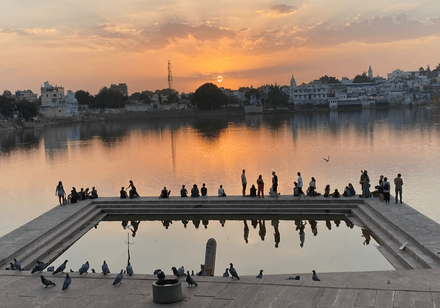 Finding Stillness in the Chaos: Lessons from India