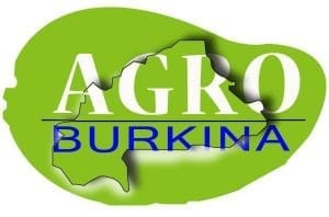 Logo 5
