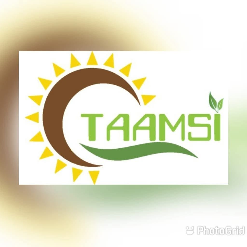 Logo 11