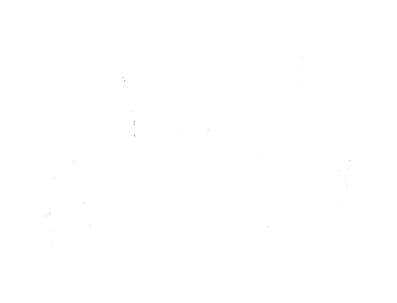 Kalligraphie. Das Wort Now als Handlettering mit Marker geschrieben.