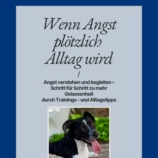 Wenn Angst plötzlich Alltag wird