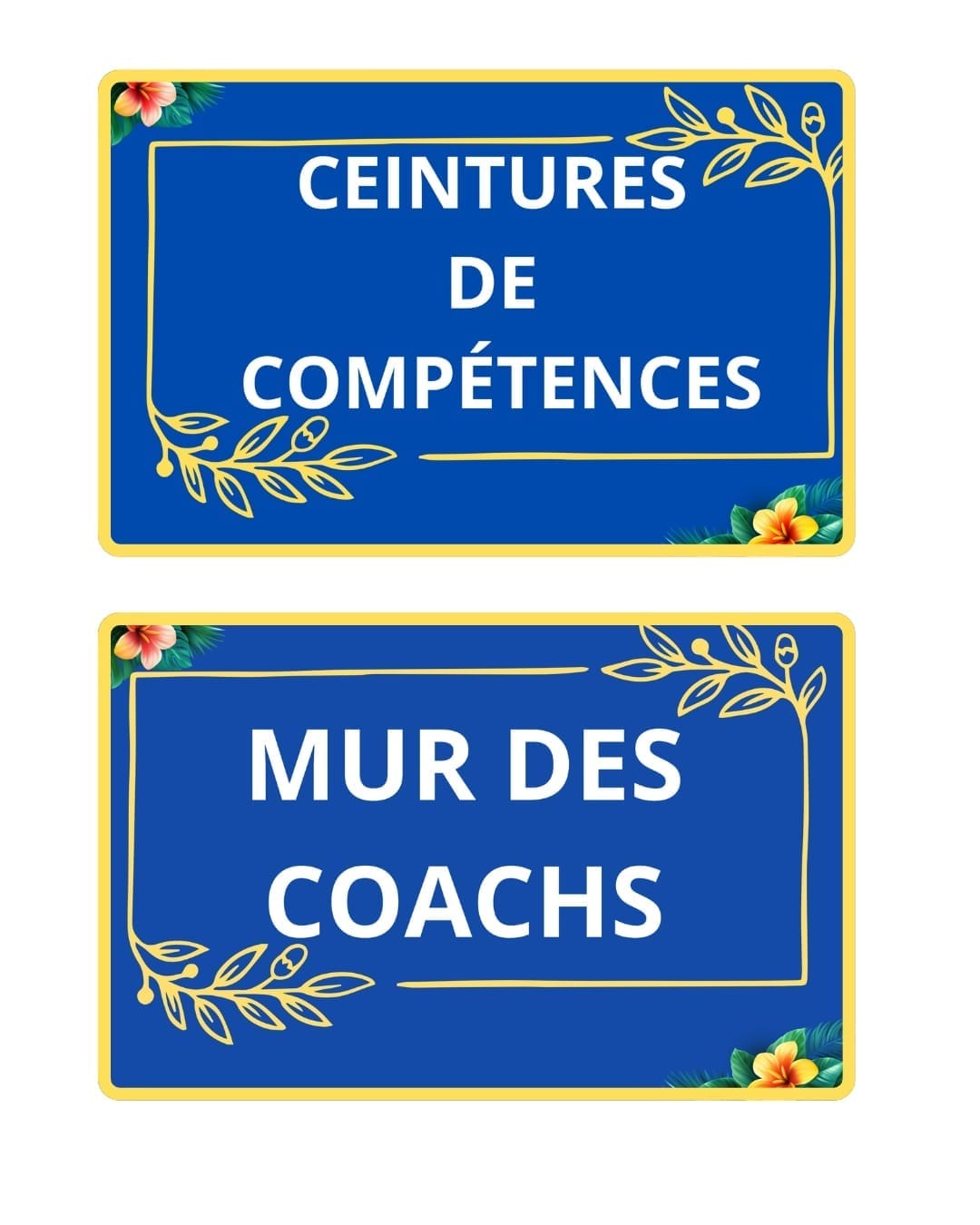 CEINTURES DE COMPETENCES 