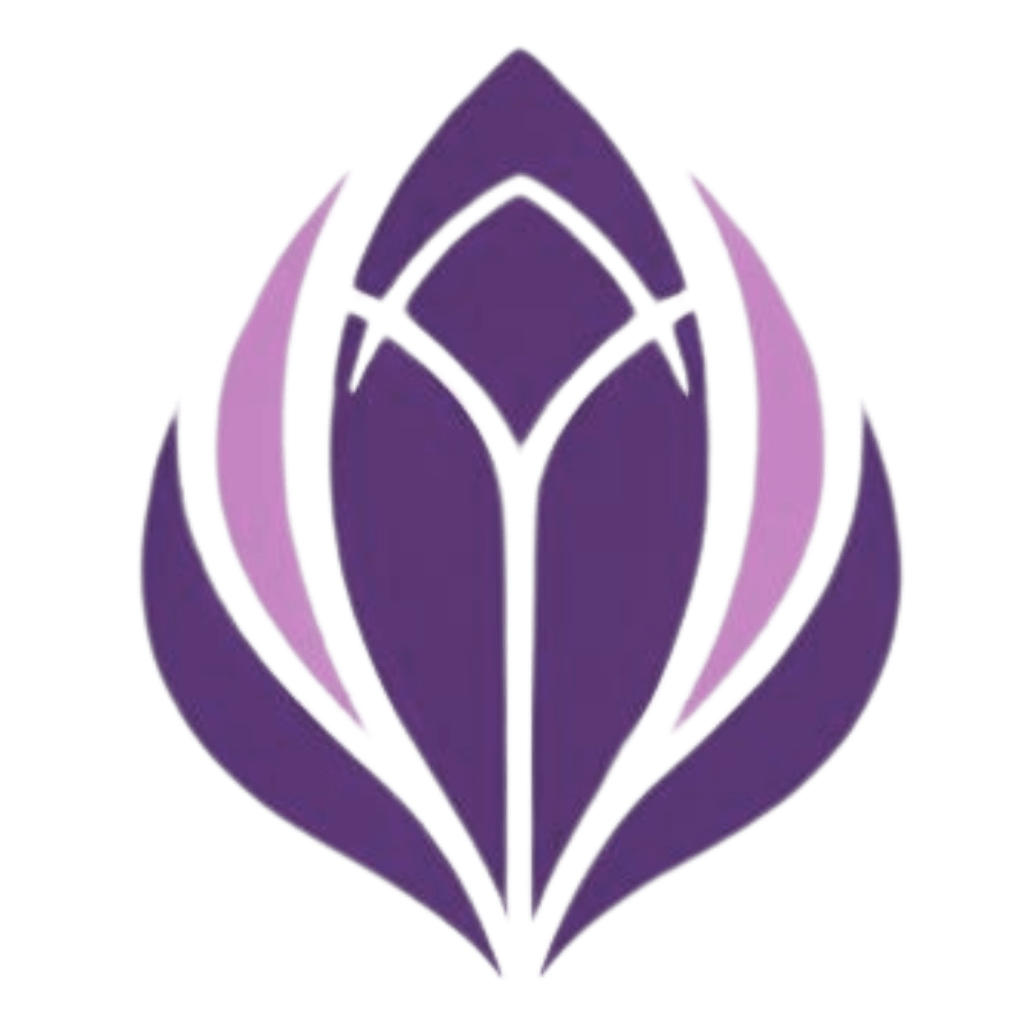 Leticia Iborra Logo Reiki, Lectures des archives akashiques, ateliers à l'île Maurice