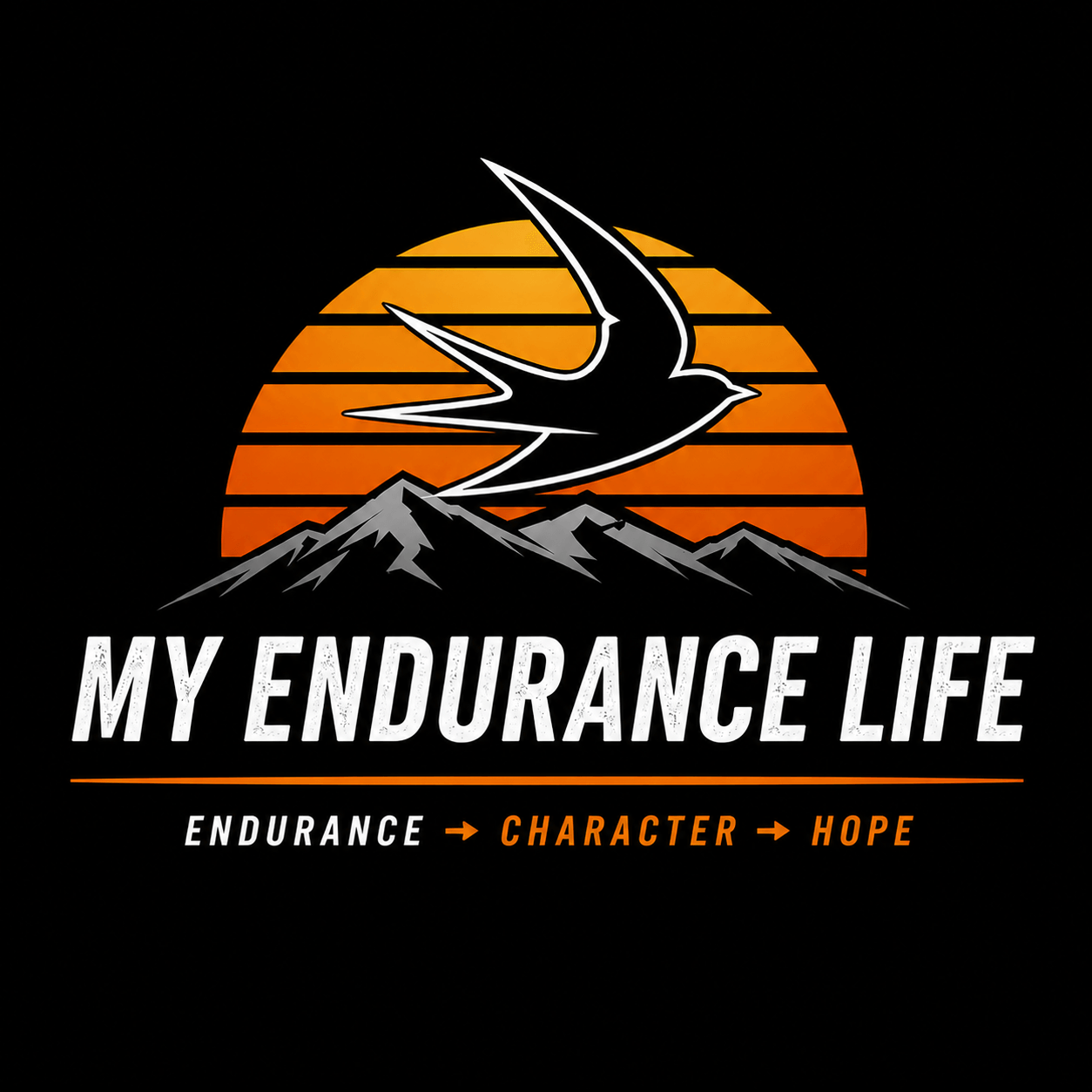 My Endurance Life