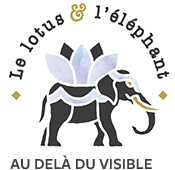 Le Lotus & l'Éléphant