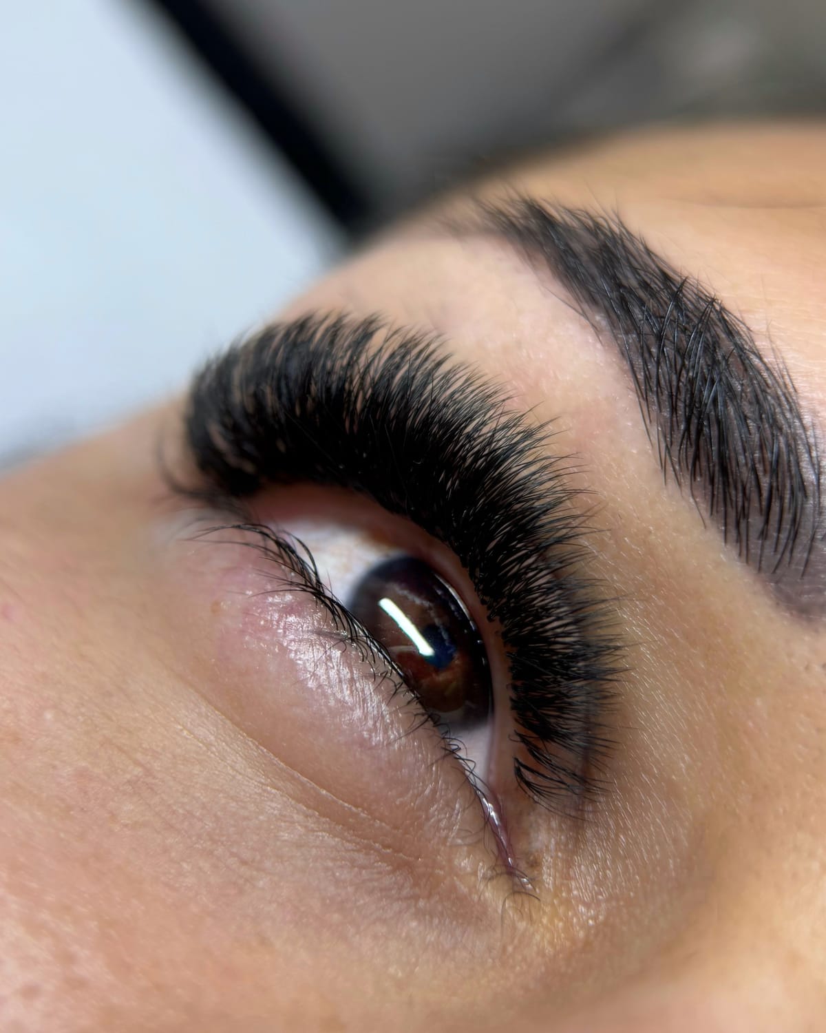Mega volume lash extensions
