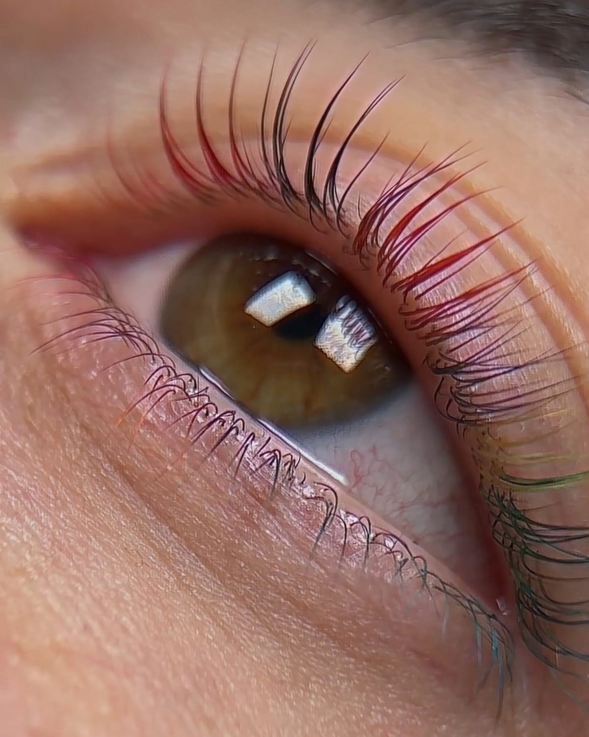 colorful lash lift malta