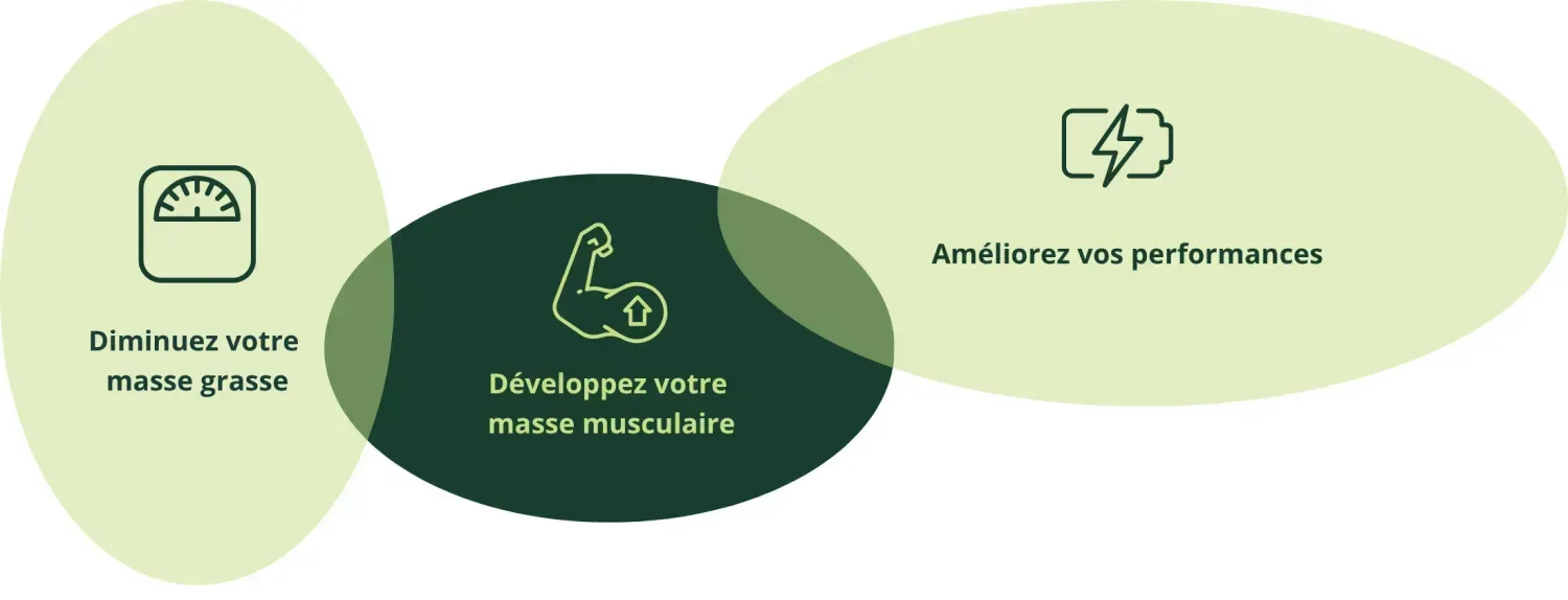 Schéma des bénéfices de Nutriose