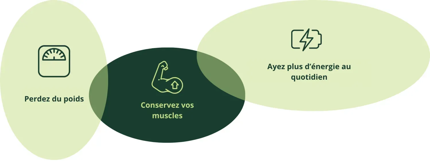 Schéma des bénéfices de Nutriose