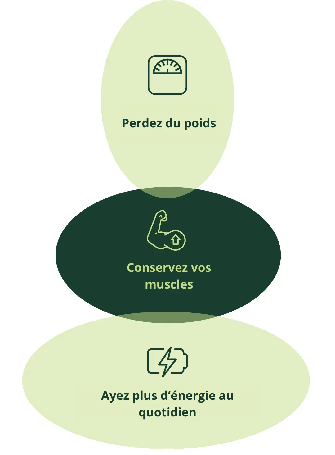 Schéma des bénéfices Nutriose