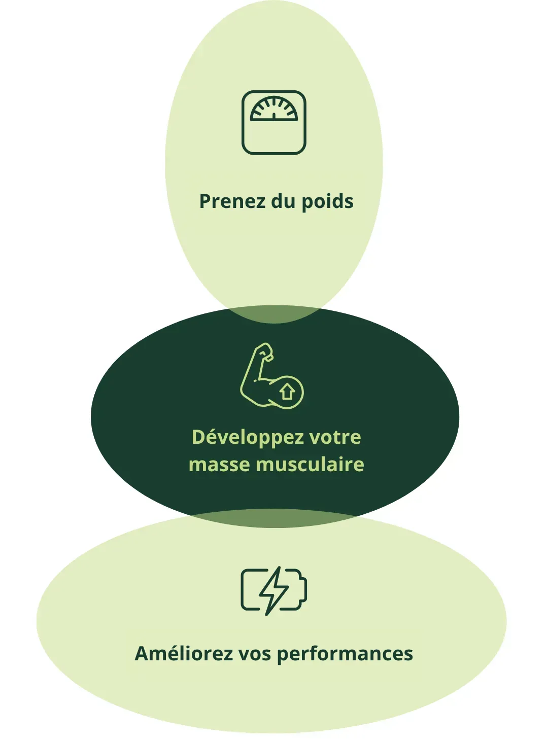 Schéma des bénéfices Nutriose