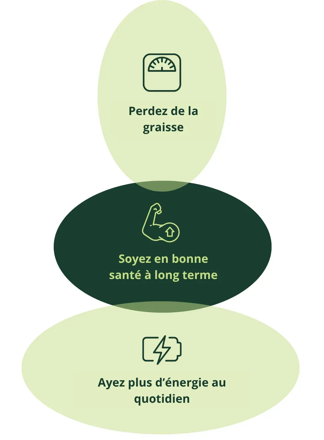 Schéma des bénéfices Nutriose