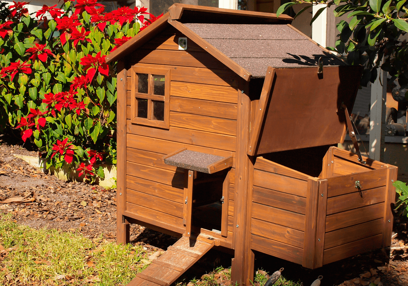 Chicken Coop Mistakes That Cost Me Time and Money