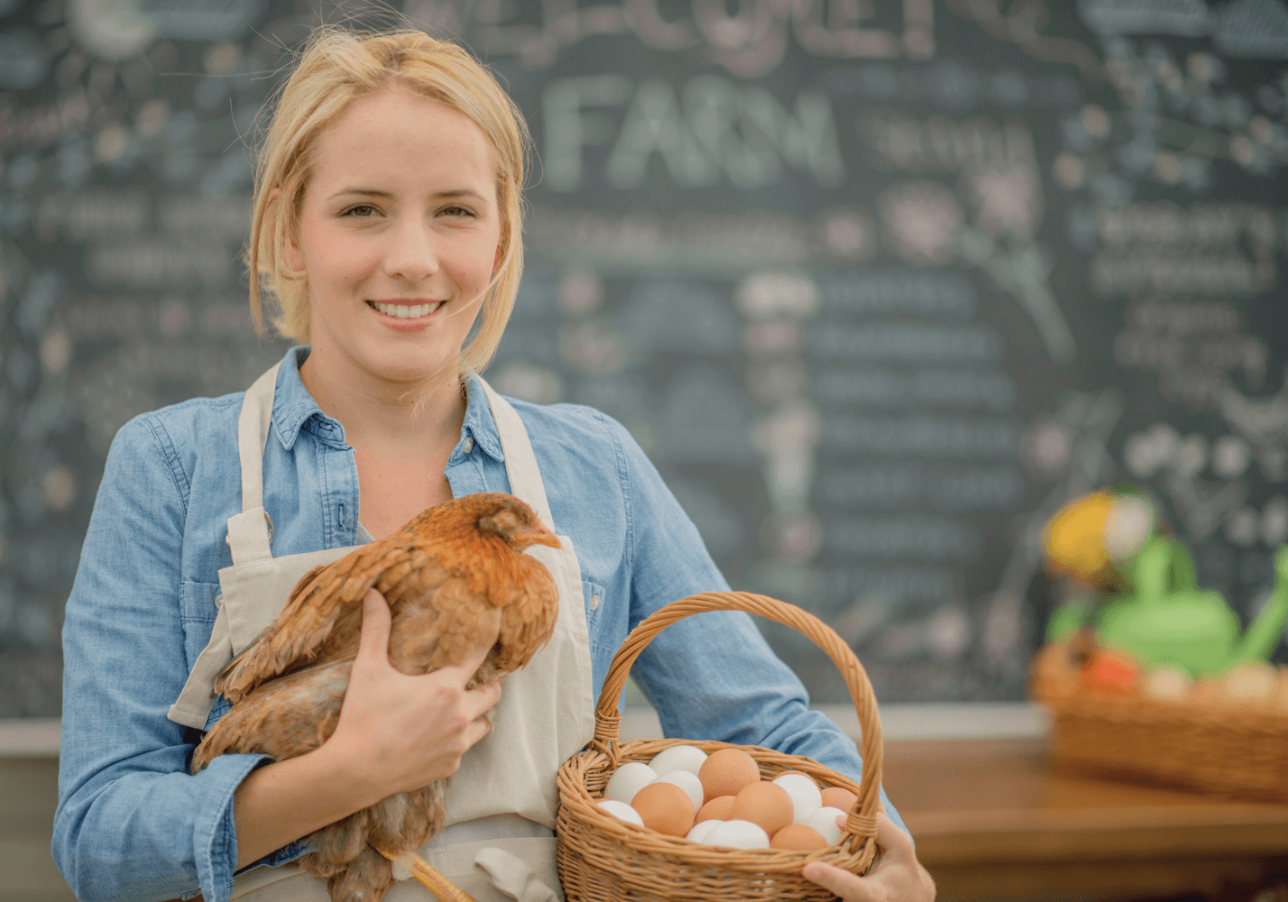 Can You Really Make Money With Chickens?