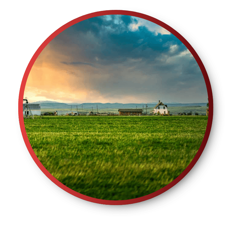 What Kind of Land Do We Buy?