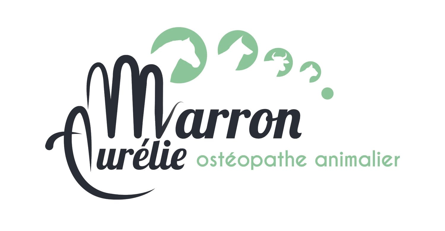 Ostéopathe Animalier