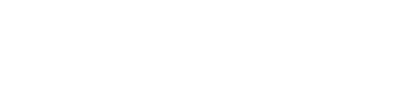 Vinci Logo Image