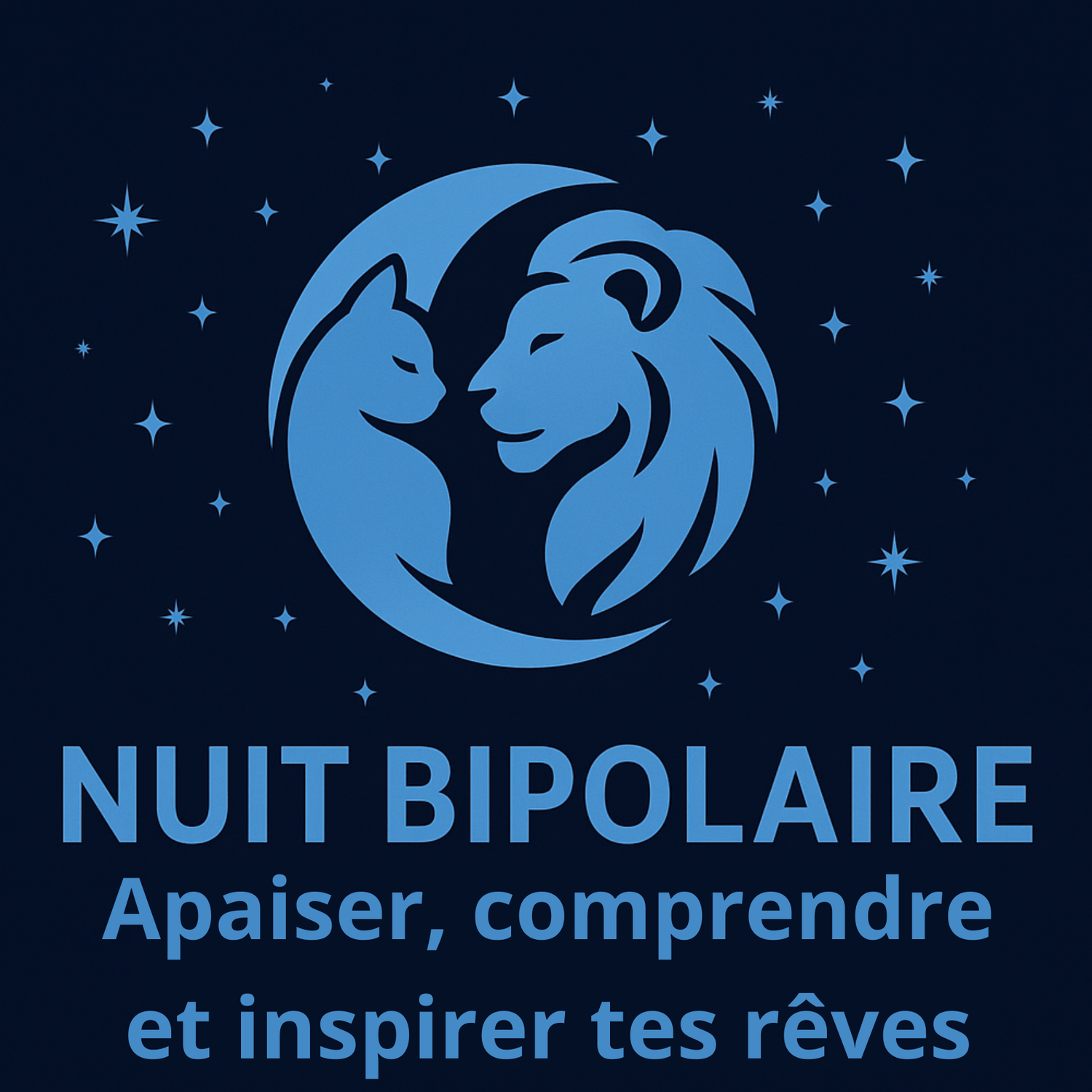 Programme en ligne "Nuit Bipolaire" de 5 semaines