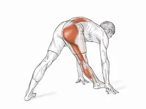 Flexibility is known to bring positive benefits to the muscles and joints. It aids in injury prevention, helps minimize muscle soreness, and improves efficiency in all physical activities. Stretching helps maintain the muscles' elasticity and provides a wider range of movements in the joints. Aside from the multiple benefits, stretching can offer pain relief and improved mobility.