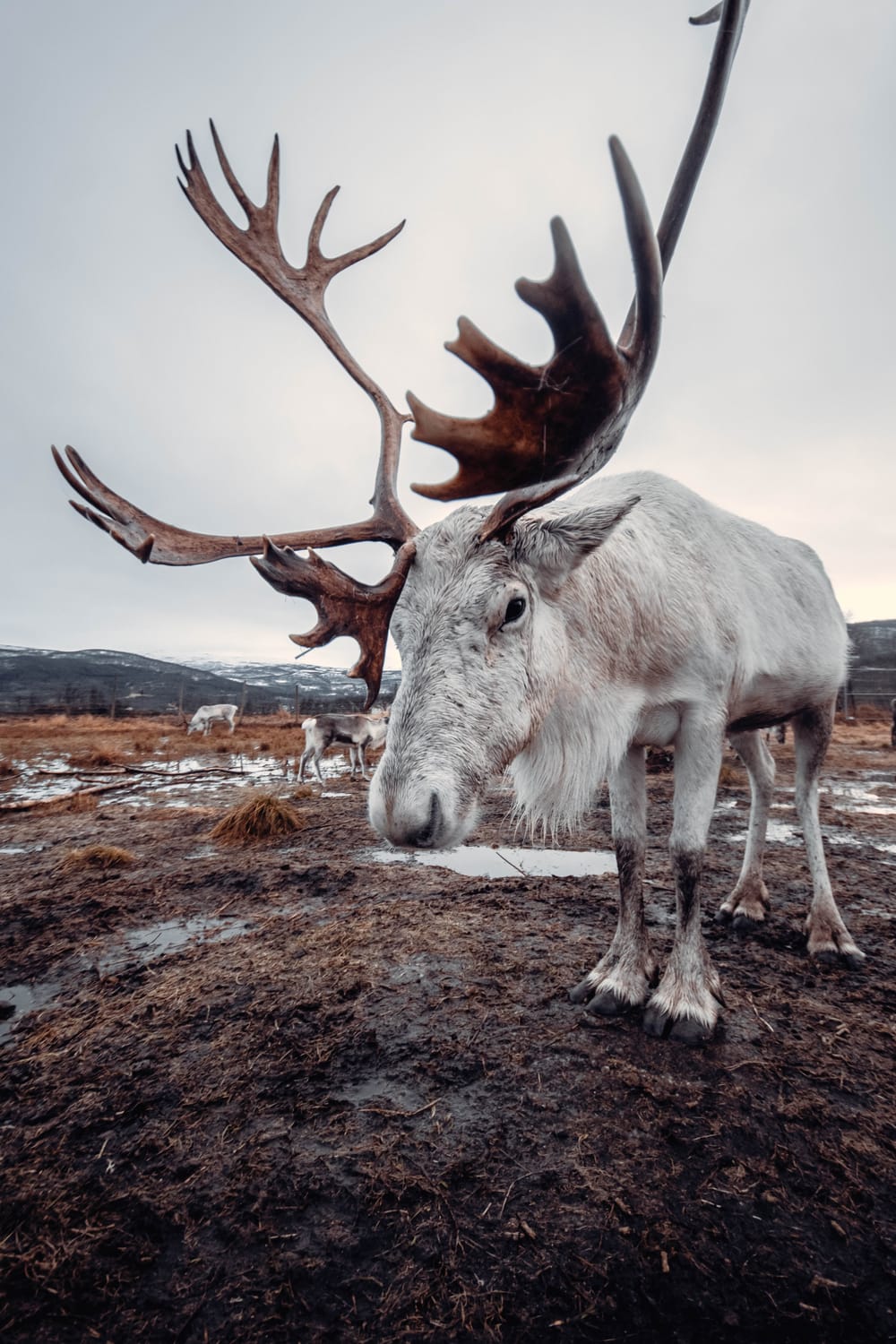 HuntNetwork Newsletter