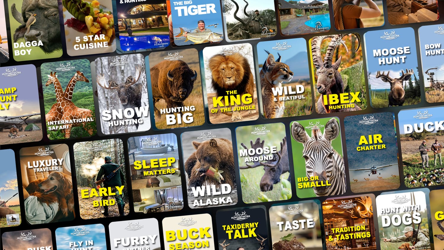 Taxidermy Marketplace