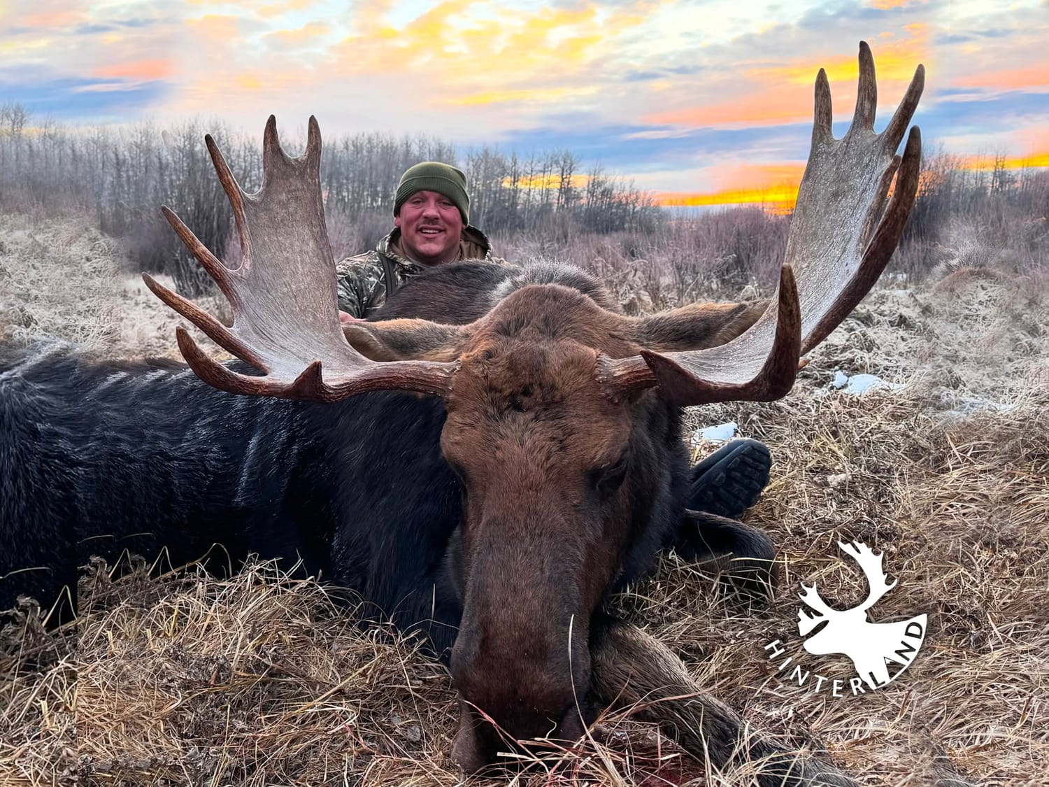 Remote moose hunting destination