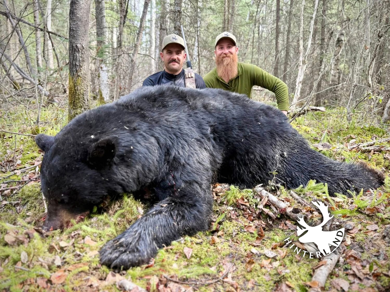 Bear hunting destination
