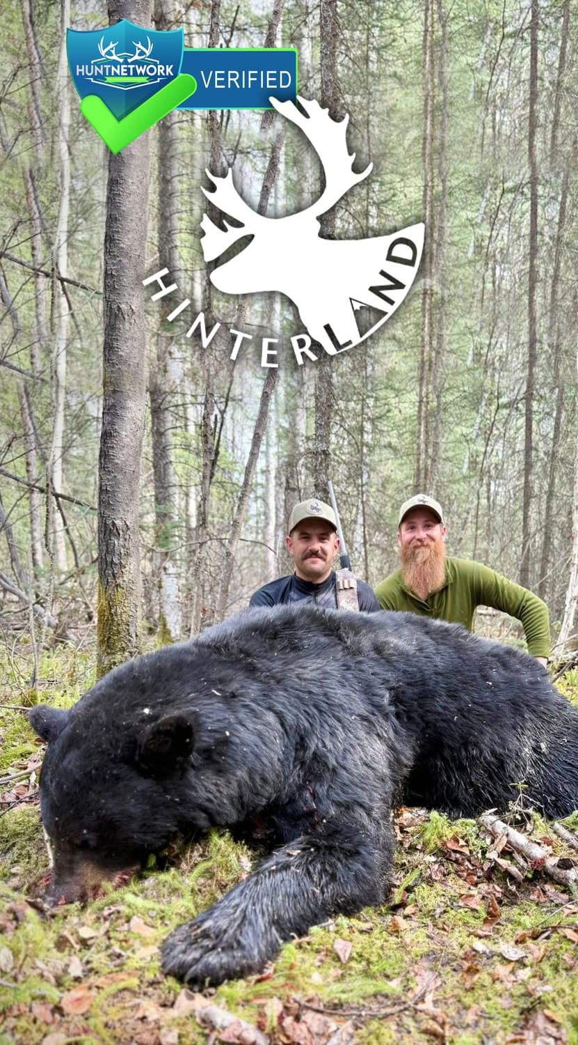 Outfitter Five Profile