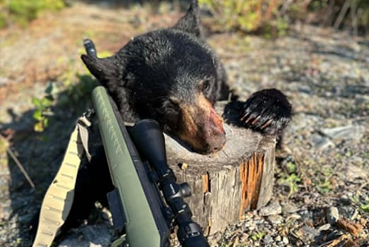 Adventure Gallery image 3