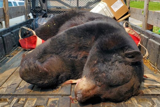 Adventure Gallery image 5