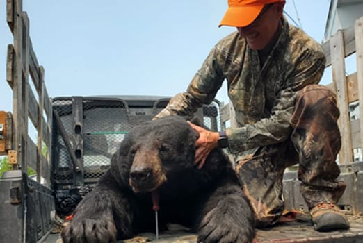 Adventure Gallery image 6