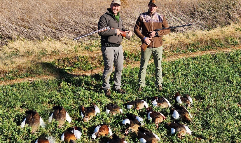 Driven Guinea Fowl