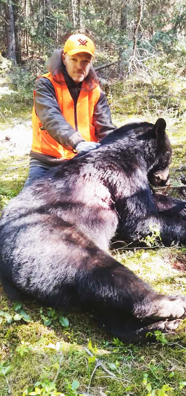 Black bear gallery