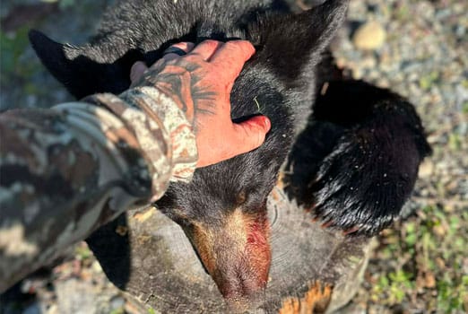 Adventure Gallery image 1 duplicate