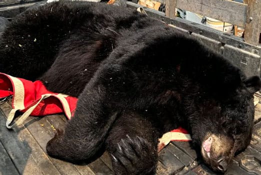 Adventure Gallery image 3 duplicate