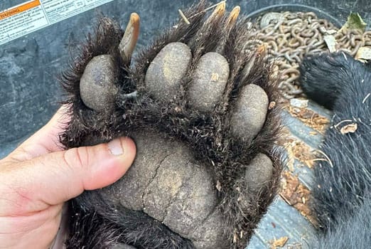 Adventure Gallery image 4 duplicate