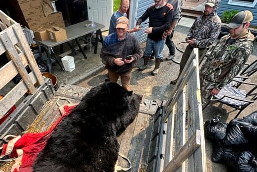 Adventure Gallery image 9 duplicate