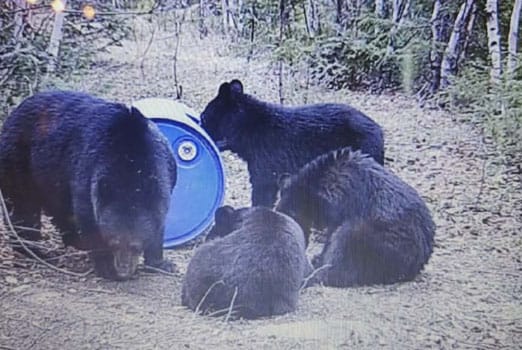 Adventure Gallery image 8 duplicate