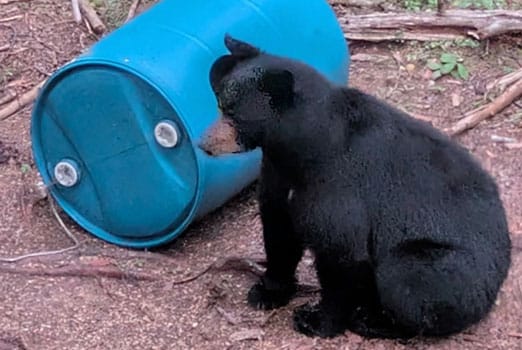 Adventure Gallery image 7 duplicate