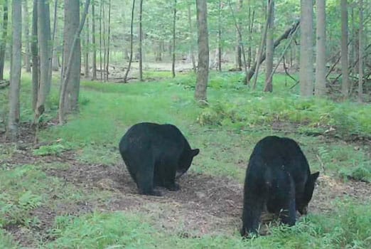 Adventure Gallery image 6 duplicate