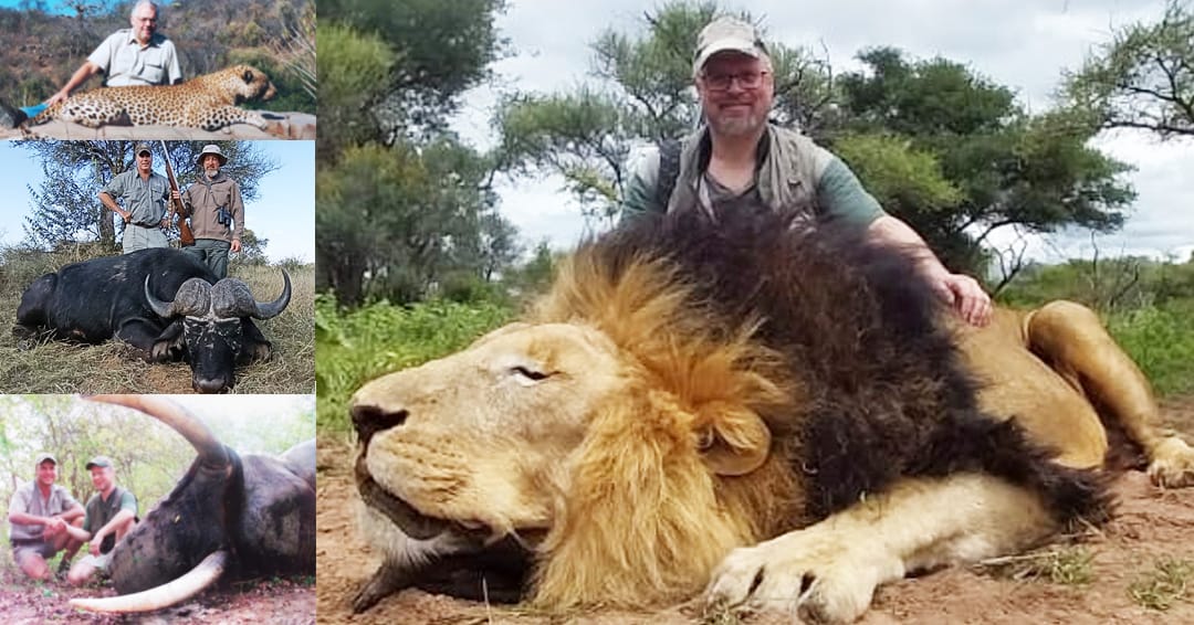 Elephant Lion Buffalo Leopard Package