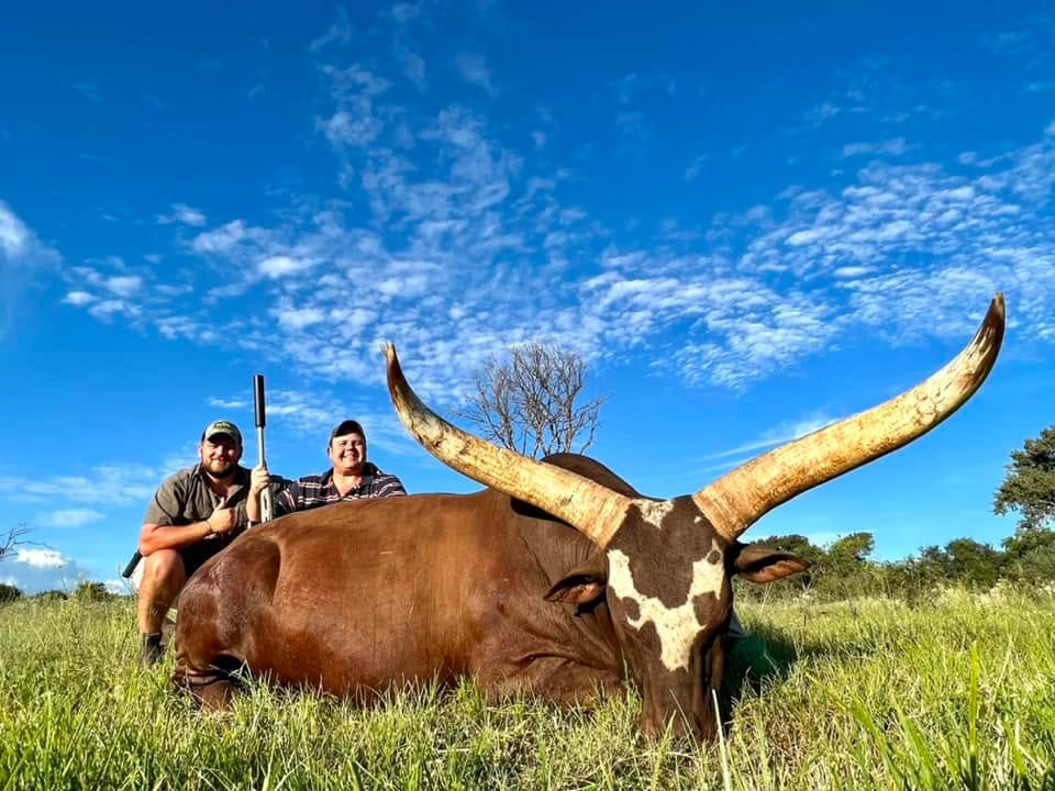 THE KOKAMOYA BOWHUNTER