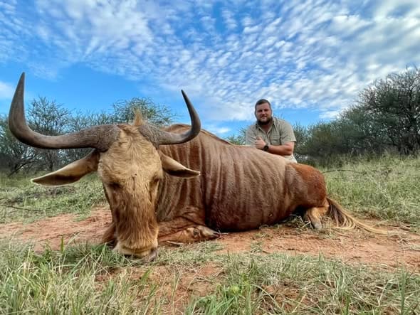 KUDU & WILDEBEEST BUSHVELD COMBO