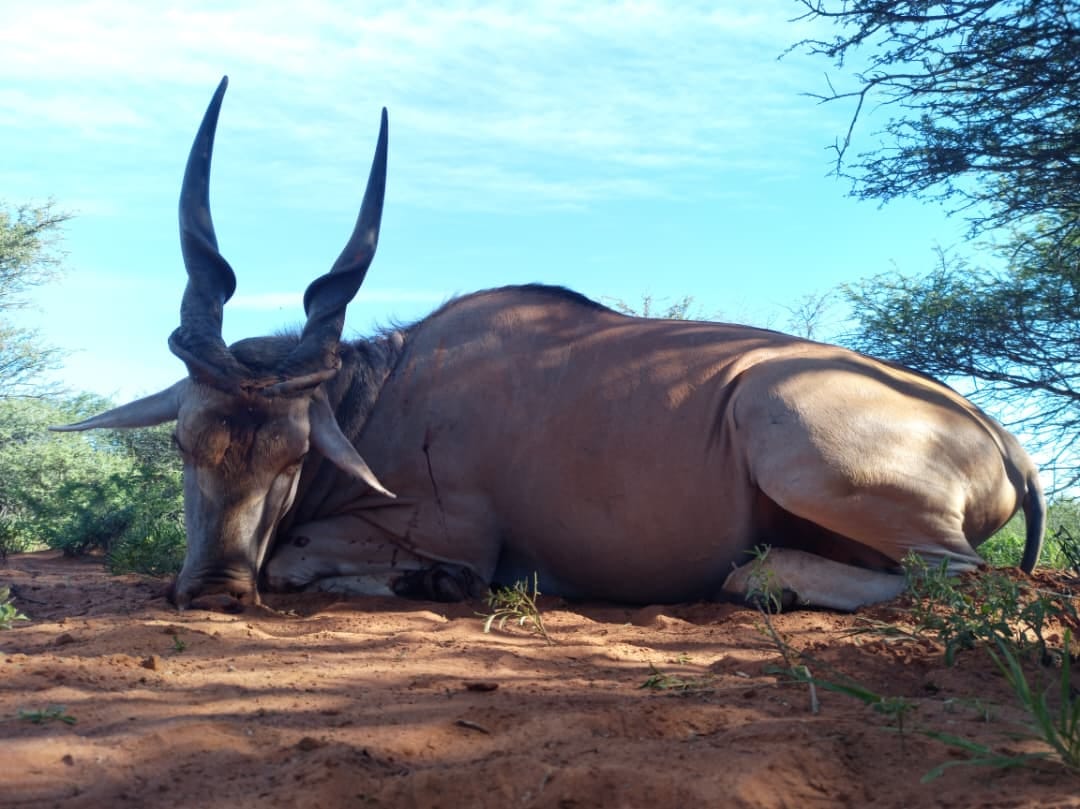 Kleeberg Namibia hunting package