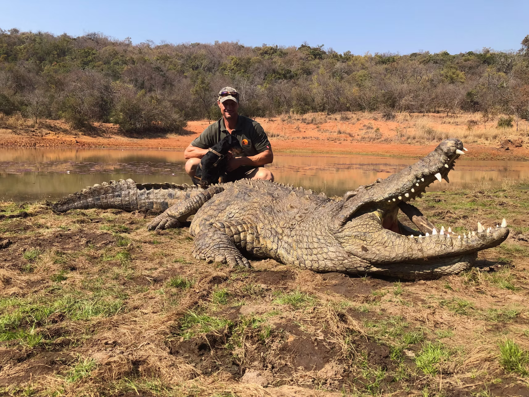 African Crocodile — JVZ Safaris