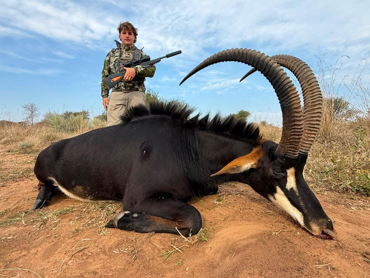 Sable — JVZ Safaris