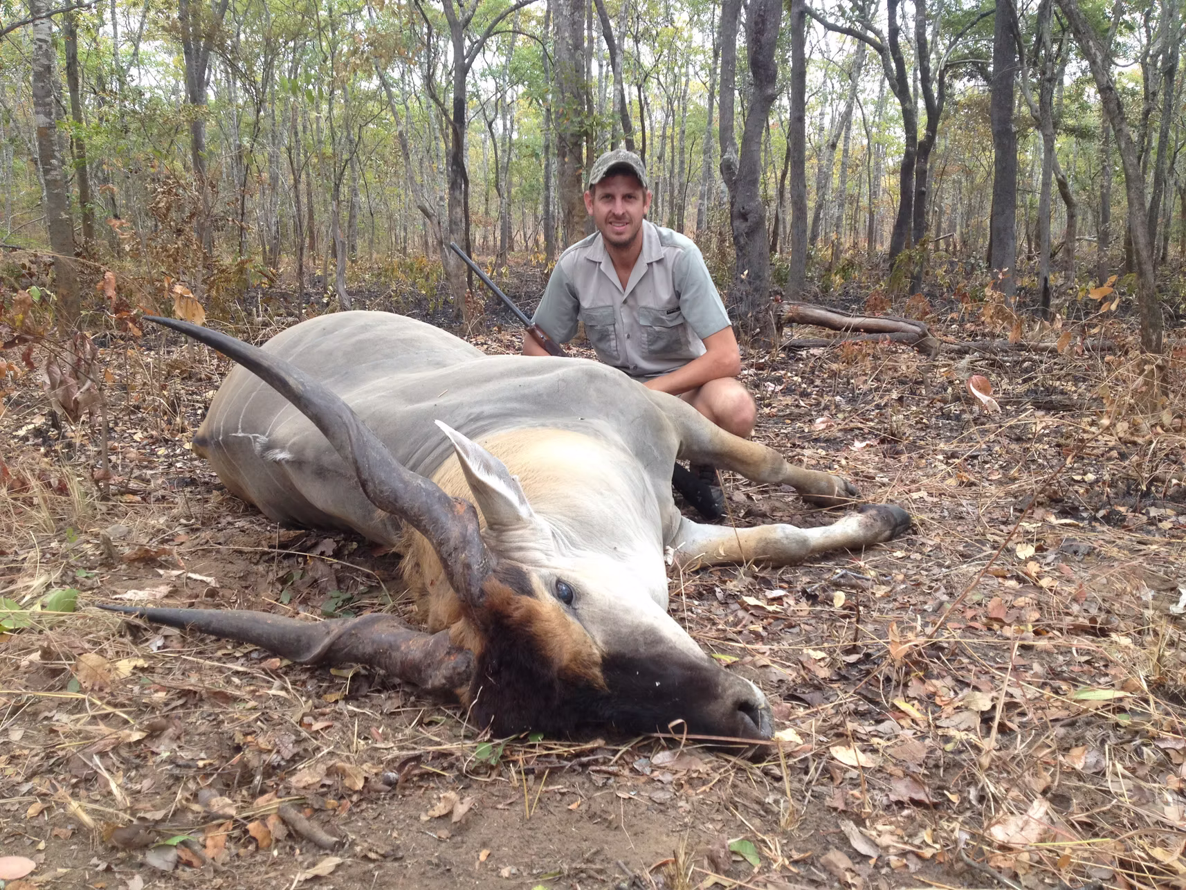Eland — JVZ Safaris